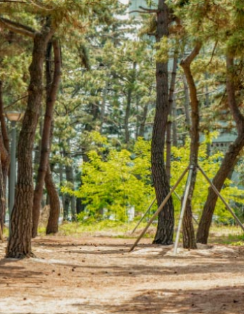 St. John’s Hotel Gangneung