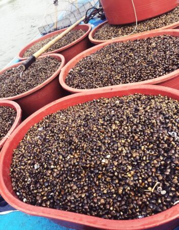 Seomjin River Jaechup Soup Store