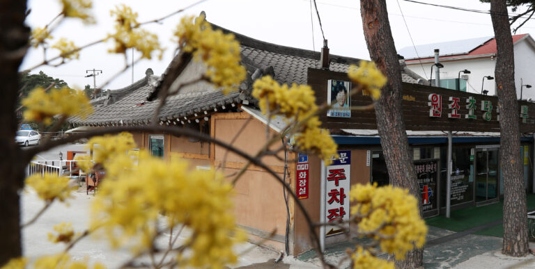 Gangneung Chodang Sundubu Village (강릉 초당 순두부 마을)