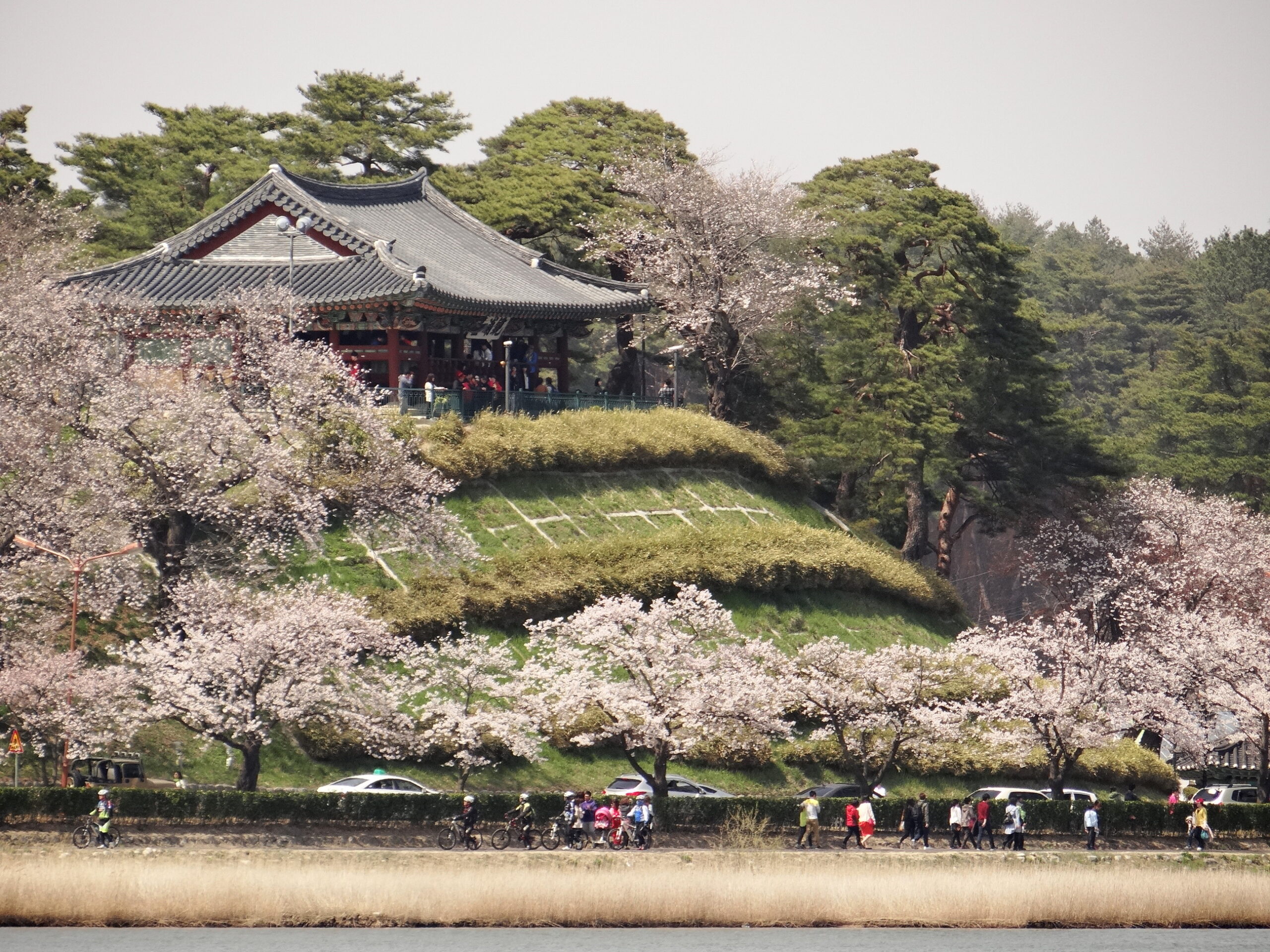 Gyeongpodae Pavilion and Lake (경포대·경포호)