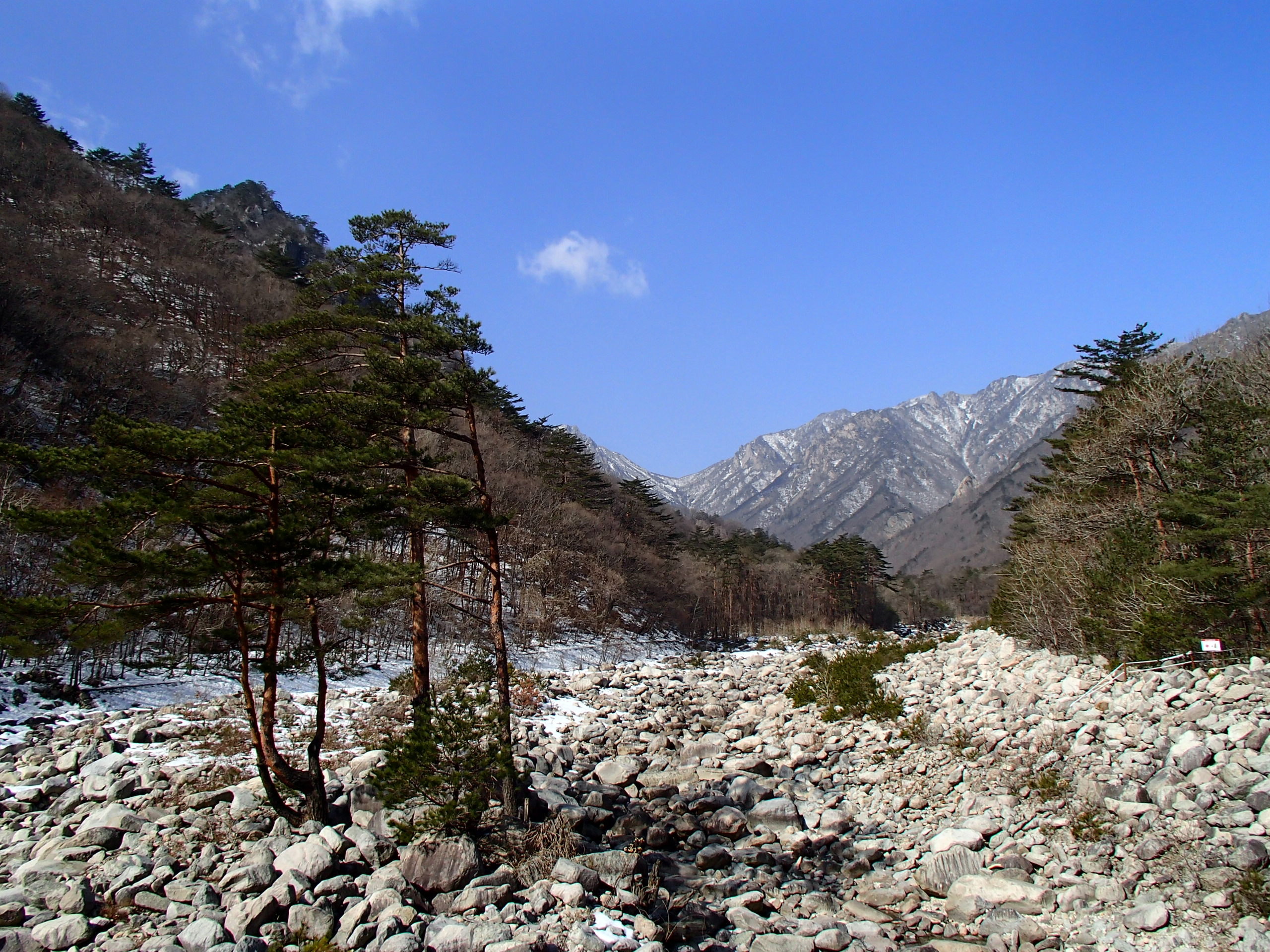 Seoraksan Biseondae Rock Garden (설악산 비선대 암반 지대)