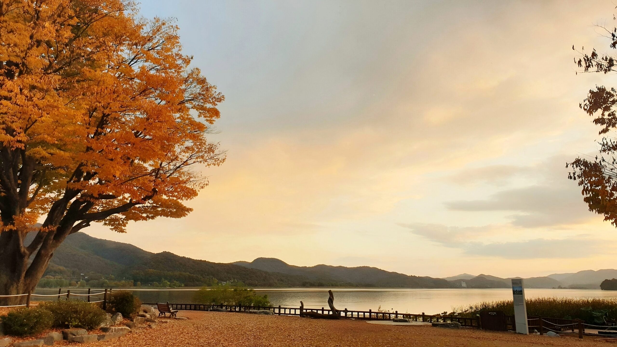 Yangpyeong Dumulmeori River Confluence (양평 두물머리)