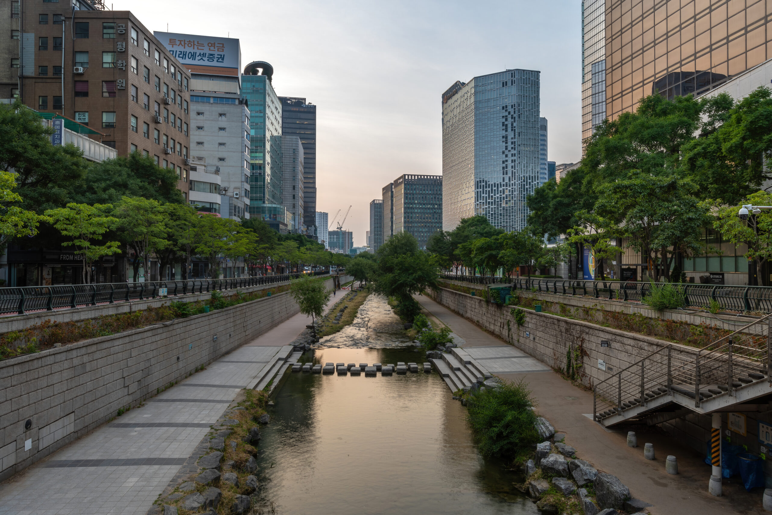Cheonggyecheon Stream Night Stroll (청계천 야간 산책)