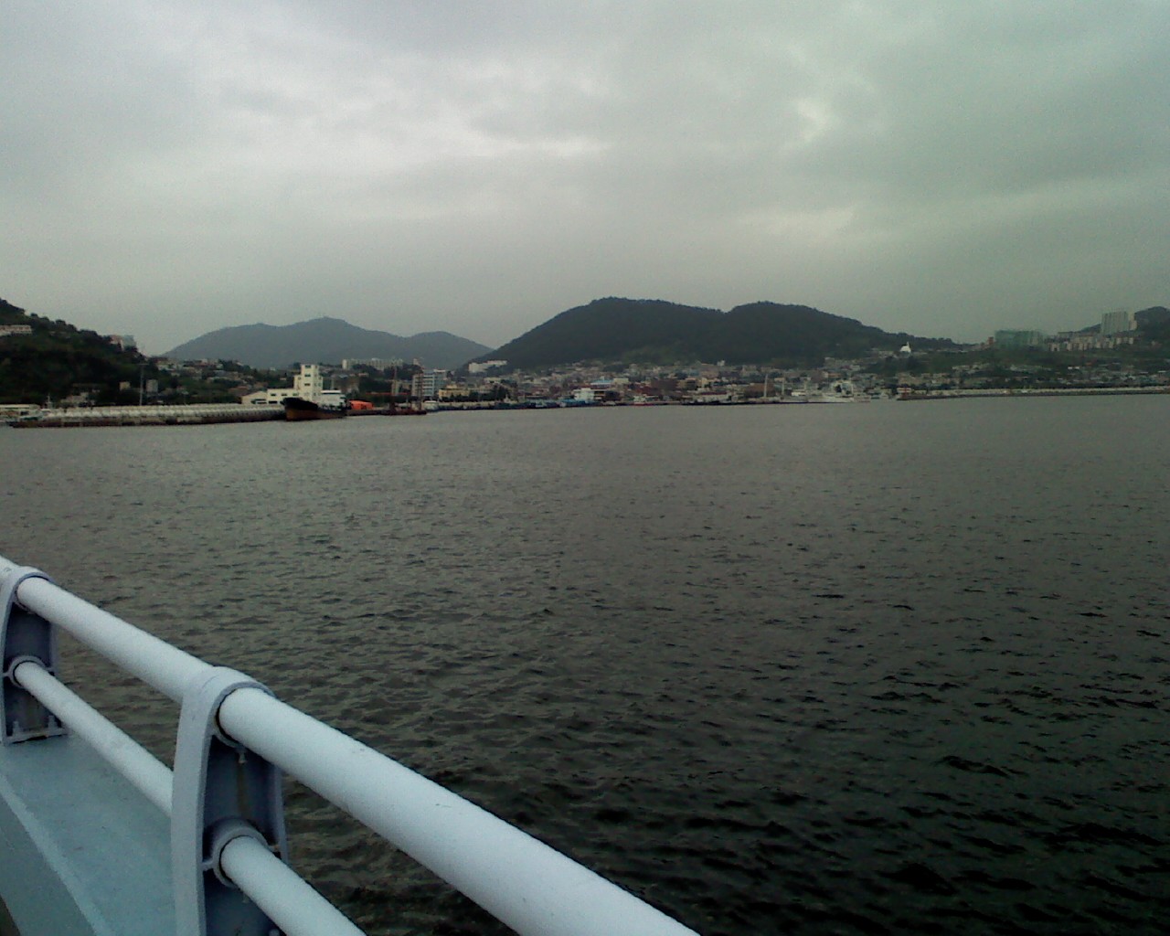 Yeosu Odongdo Island Camellia Walk (여수 오동도 동백 산책)