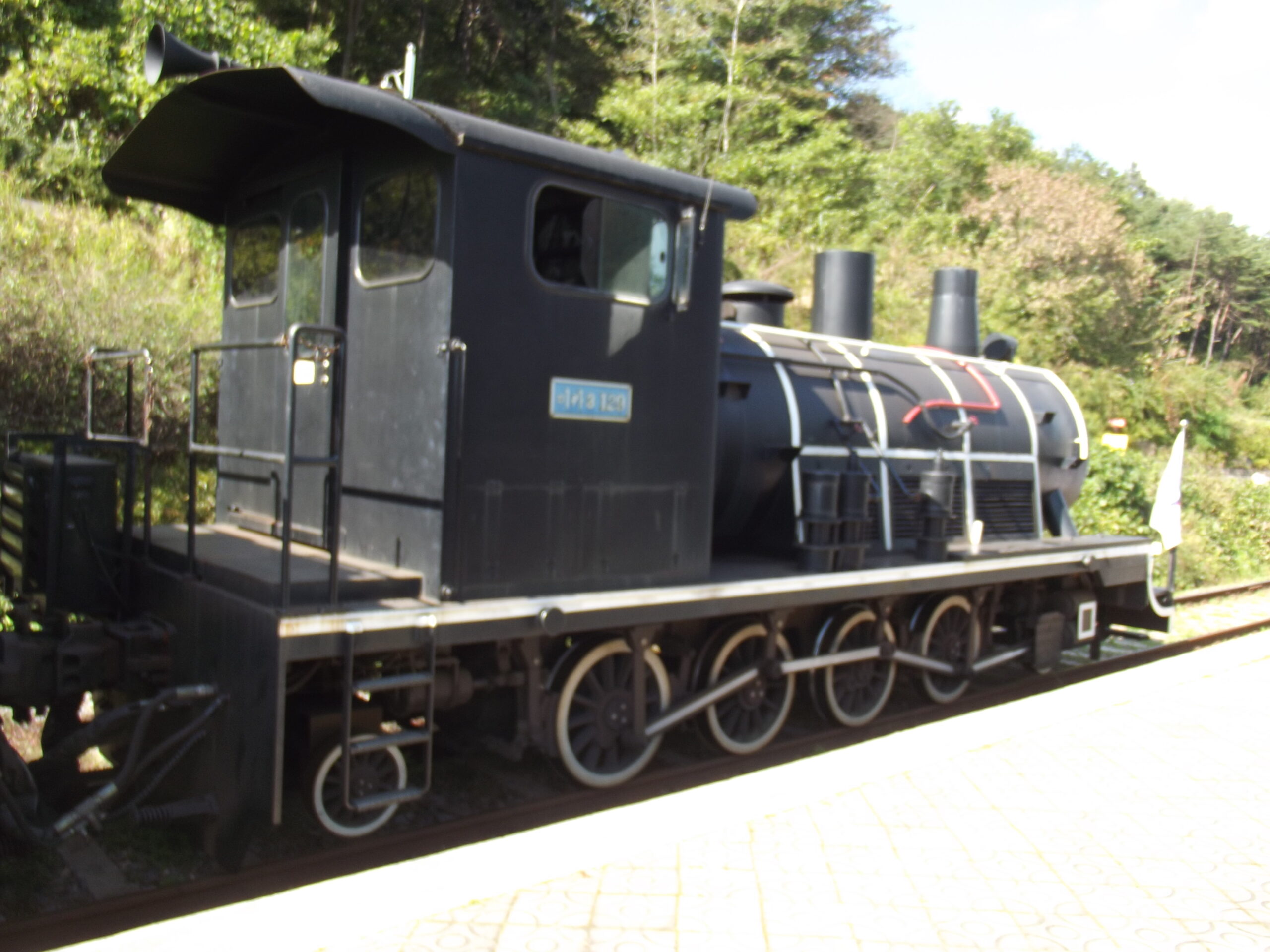 Gokseong Steam Train Village (곡성 섬진강 기차마을)