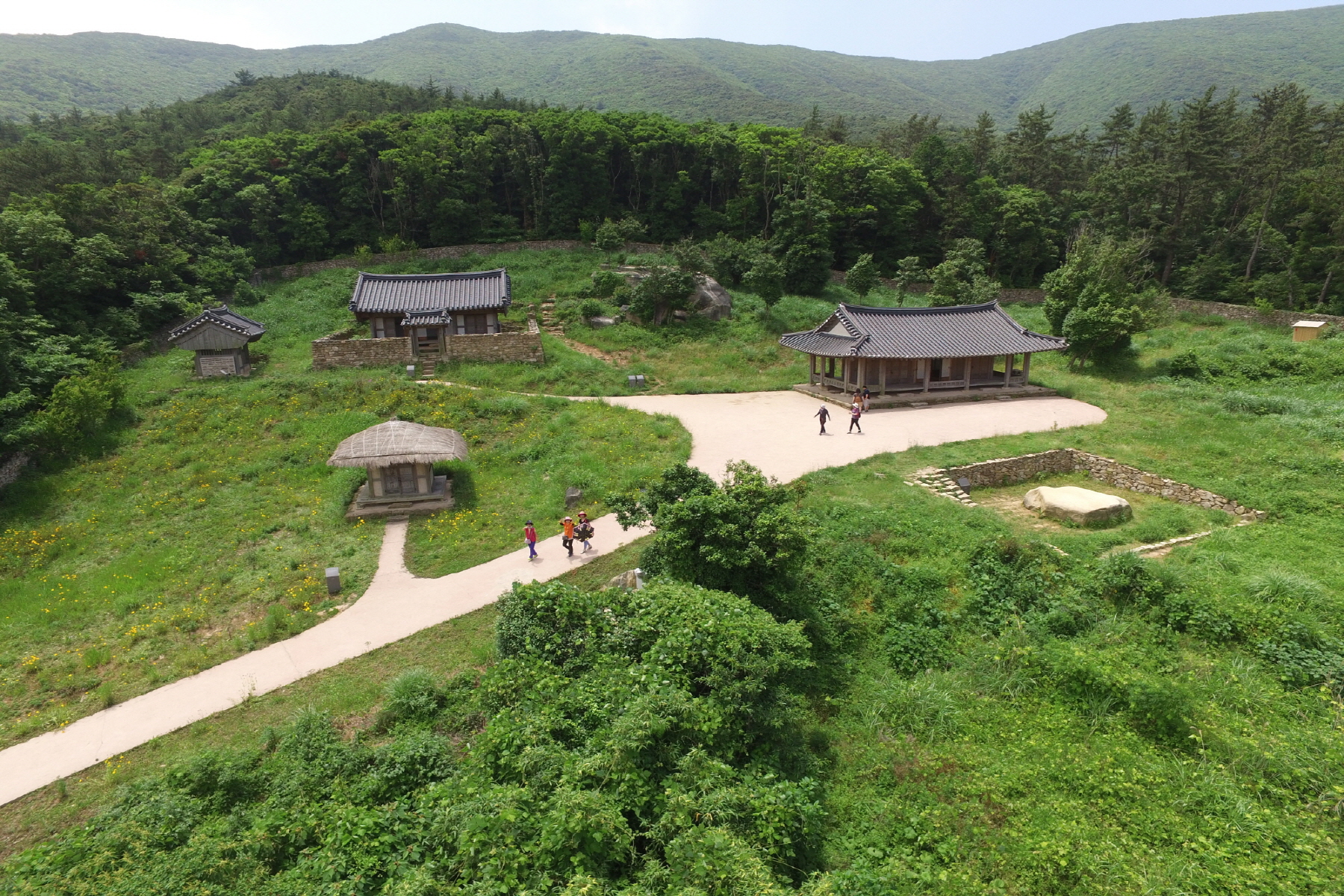 Wando Bogildo Bamboo Forest and Sea View (완도 보길도 죽서루·죽마길)