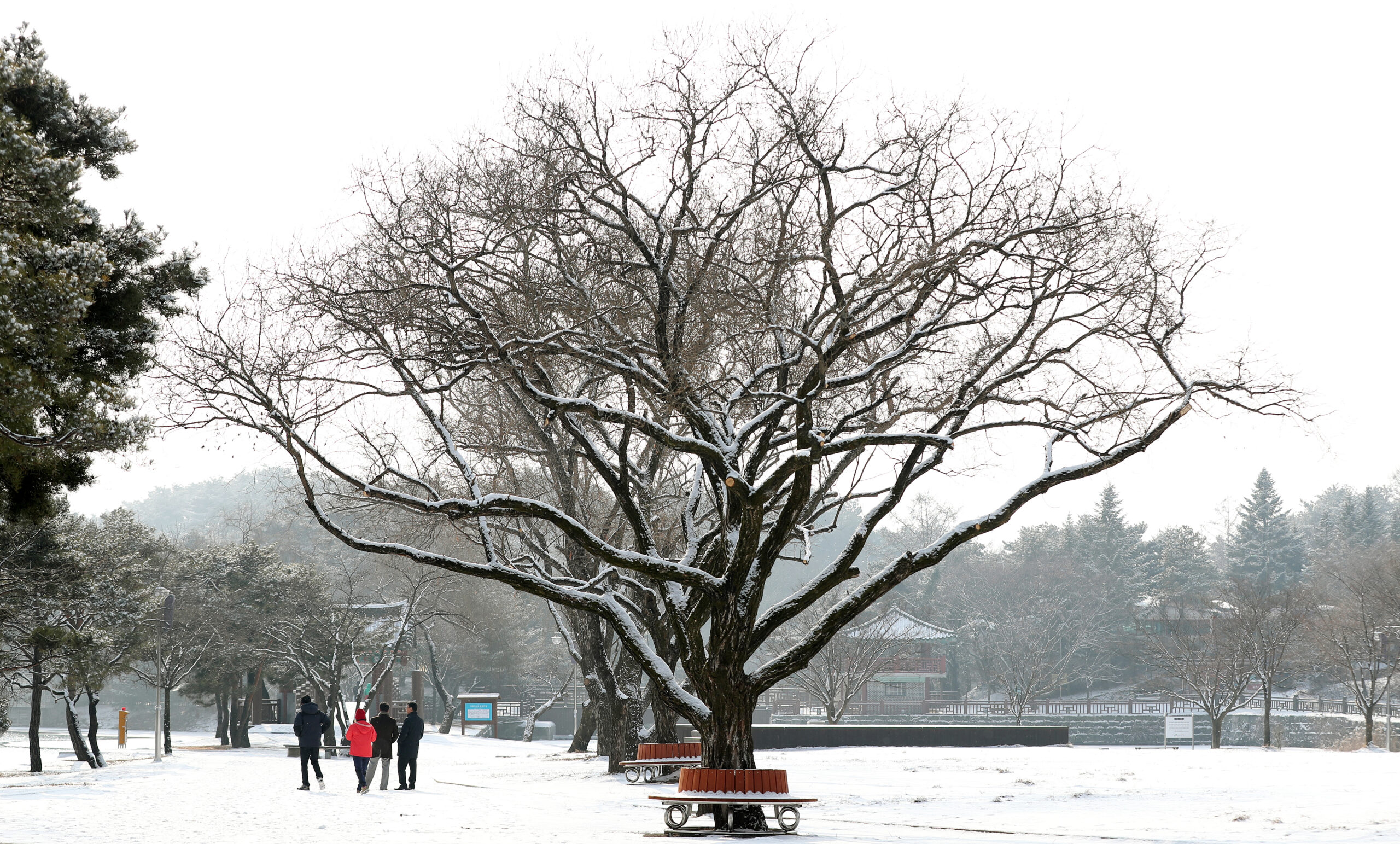 Jecheon Uirimji Ancient Reservoir (제천 의림지)