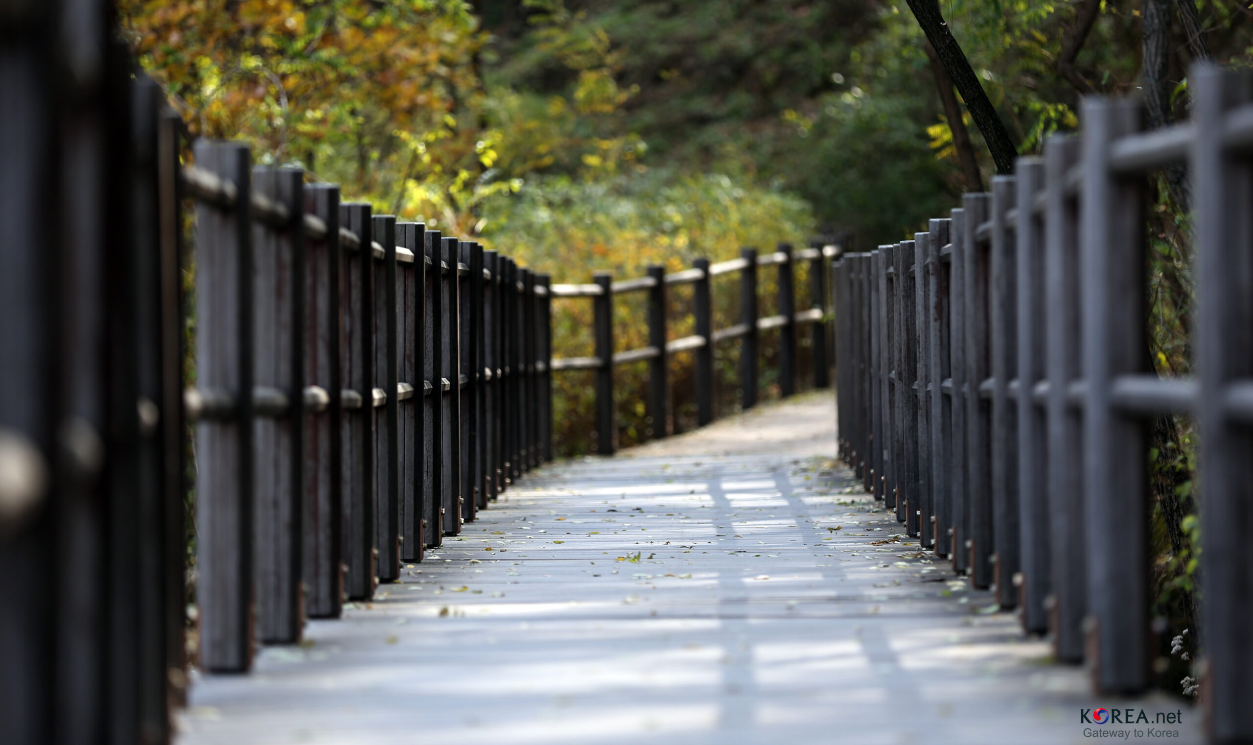 Seodaemun Ansan Mountain Loop (서대문 안산 자락길)
