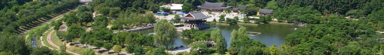 Seongnam Bundang-gu Tancheon Stream Cherry Blossom Walk