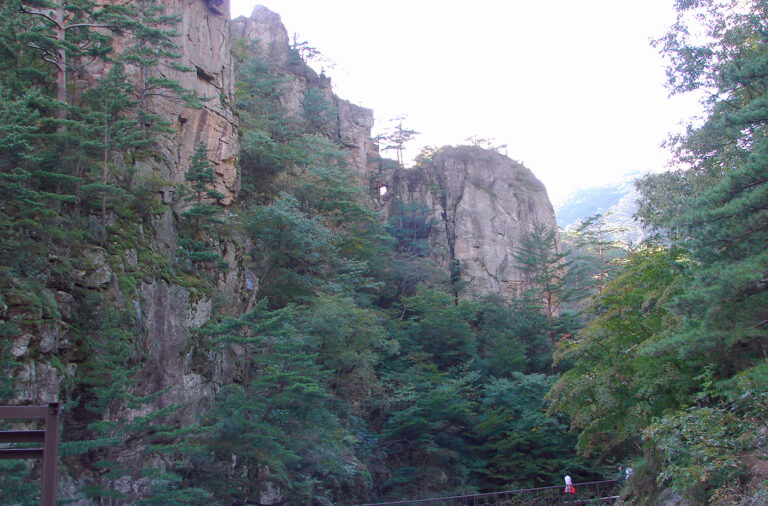 Odaesan National Park Woljeongsa Fir Avenue Temple