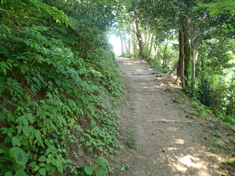 Ulleungdo Island Nari Basin Vegetable Village
