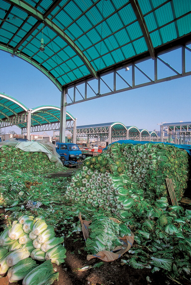 Garak-dong Garak Agricultural Market Dawn Wholesale