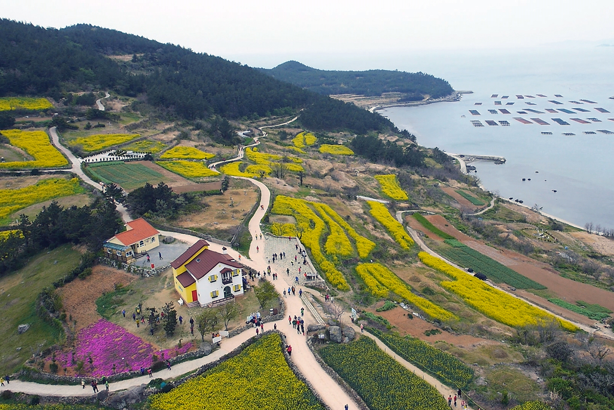 Wando Cheongsan Island Slow Village