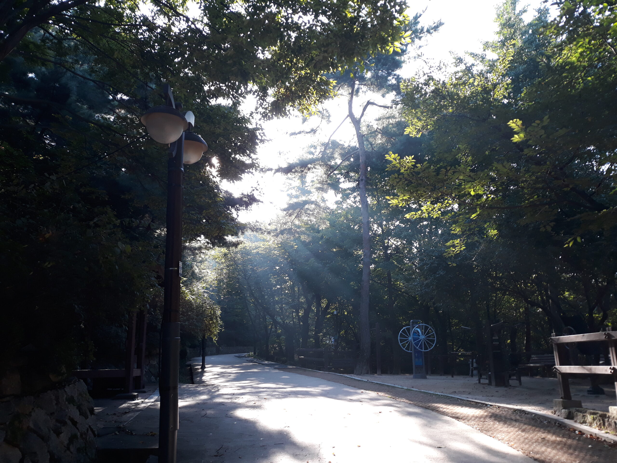 Samcheong Park Forest Trail
