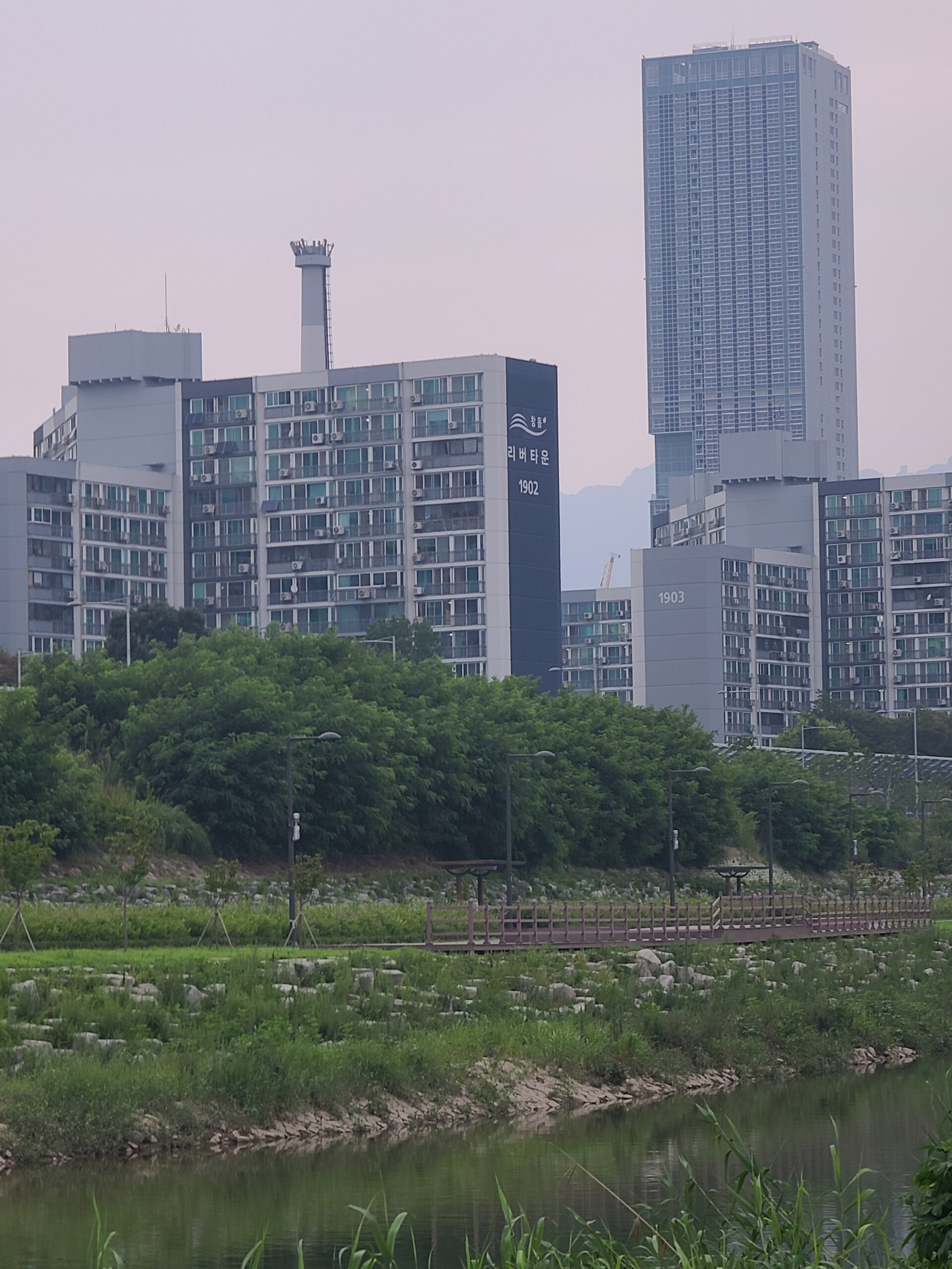 Jungnangcheon Rose Park & Eulalia Walk