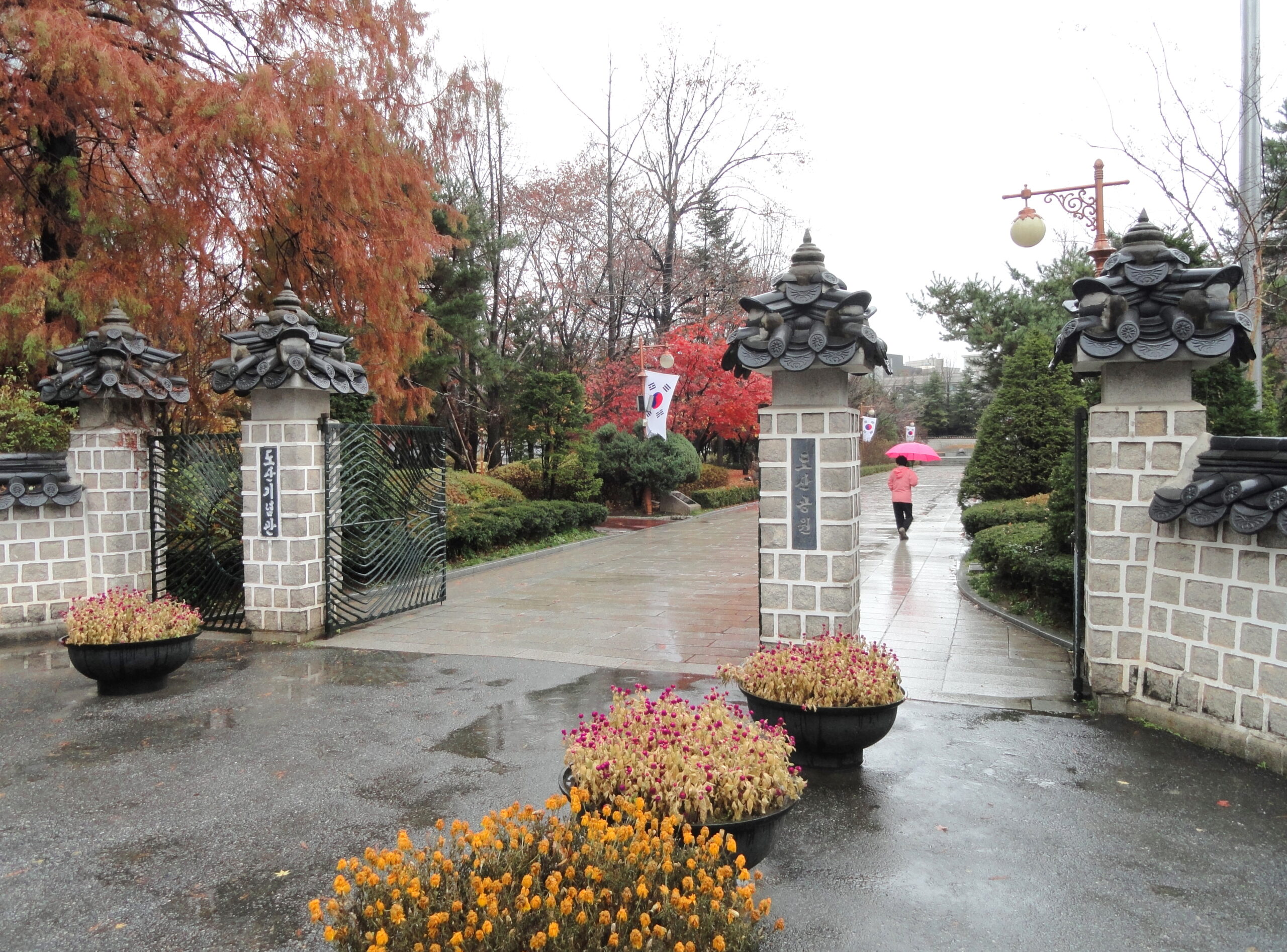 Dosan Park morning walk Apgujeong Gangnam Seoul