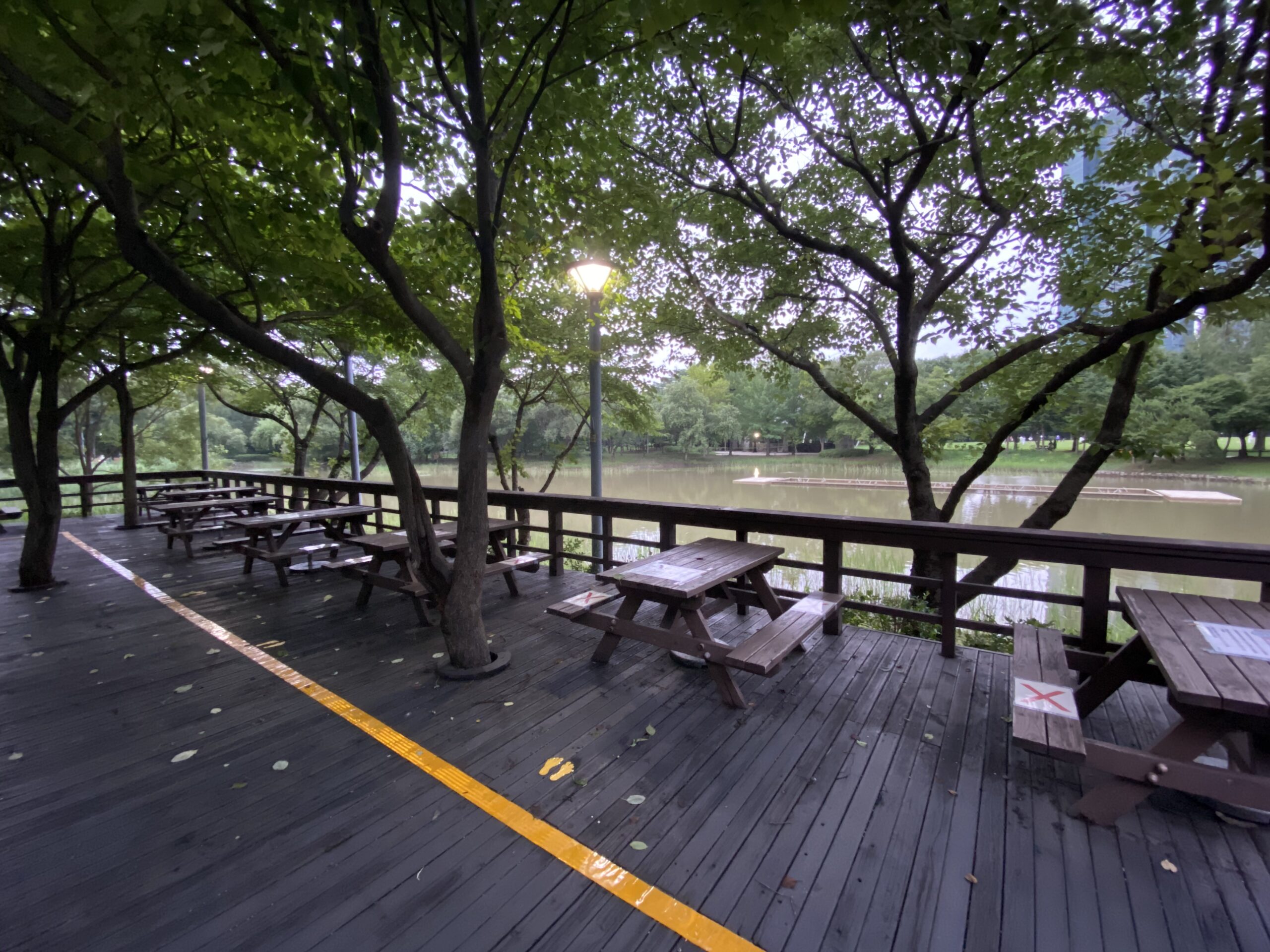 Seongsu Forest Road (서울숲 진입로)