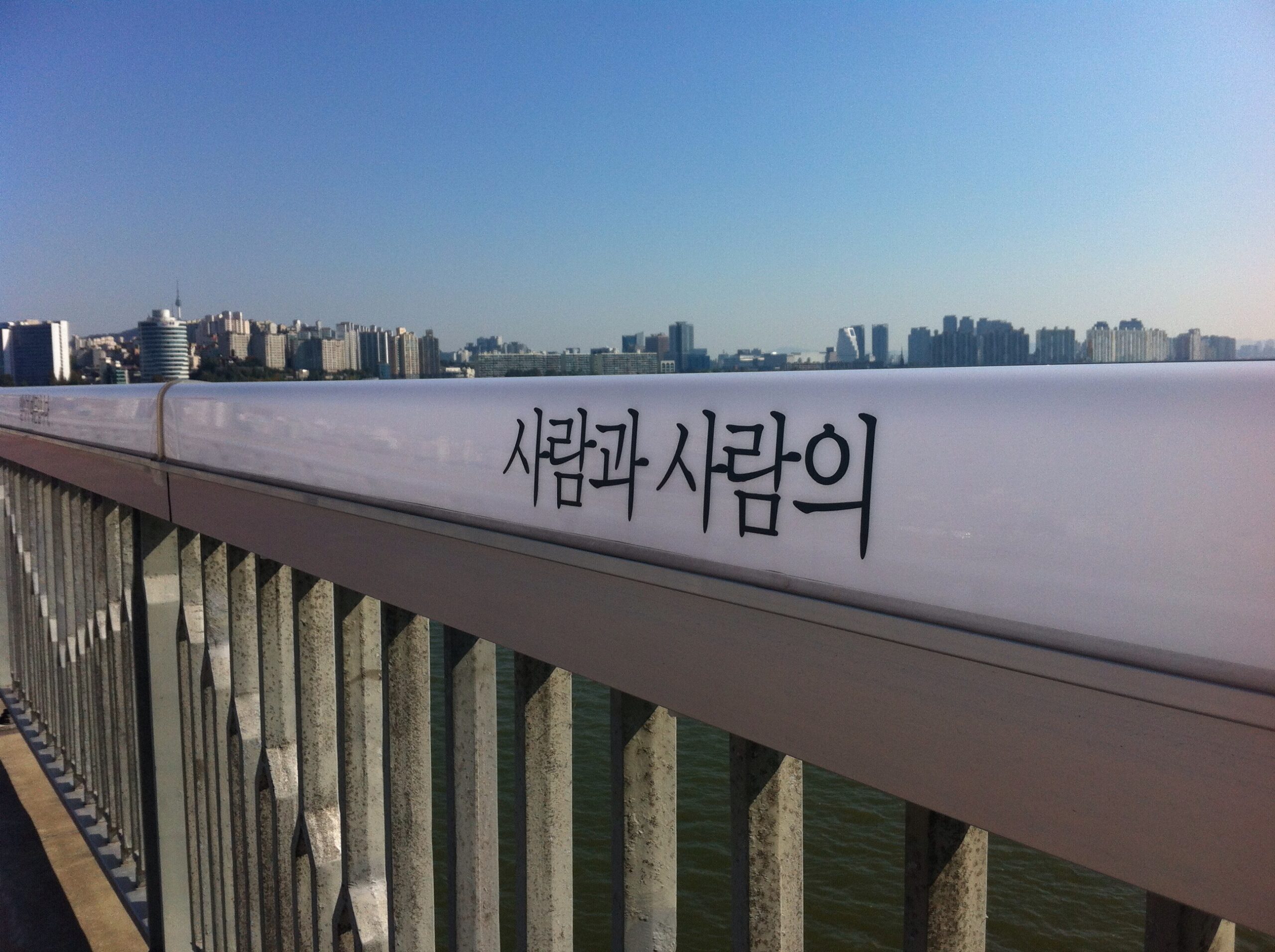 Mapo Bridge Local Fishing Spots (마포대교 낚시 포인트)