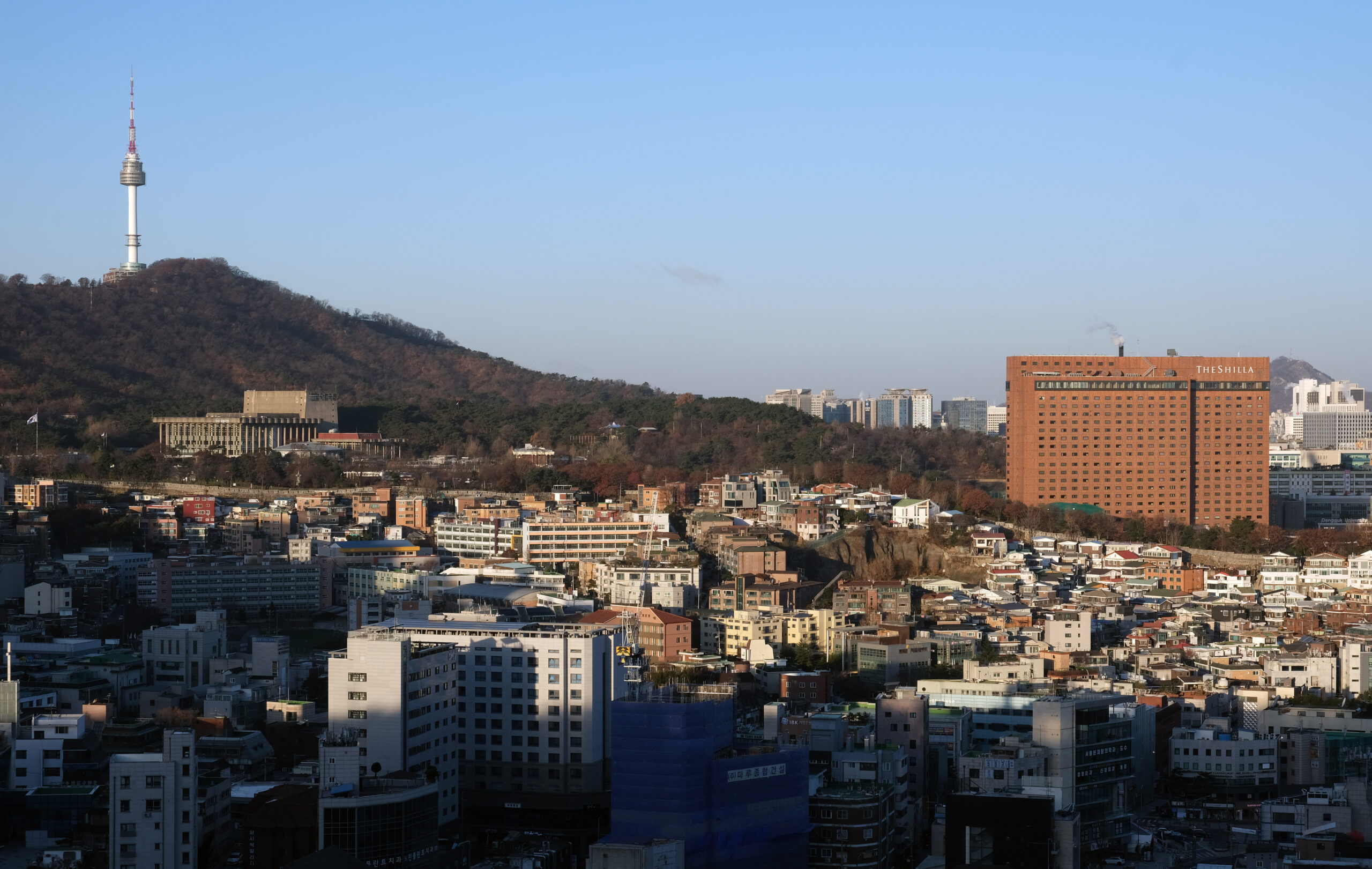 Maebongsan Mountain Summit Trail (매봉산 정상 산책)