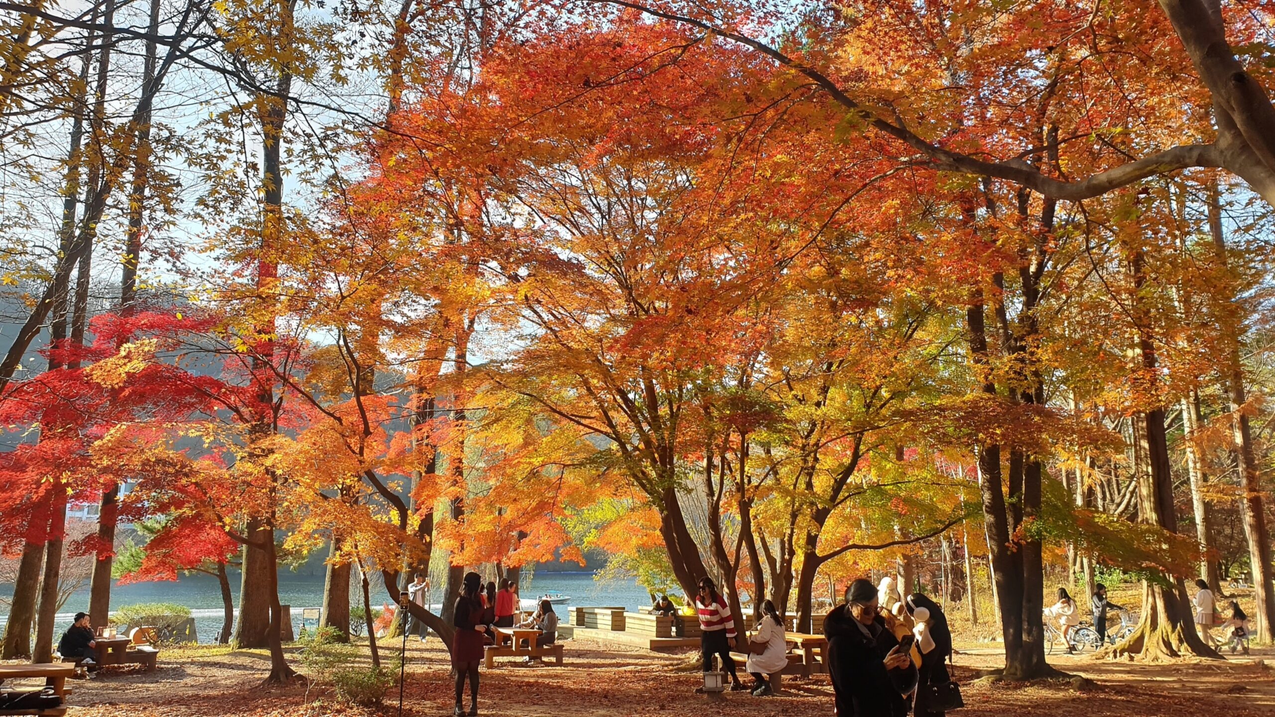 Cheongpyeong Lake Suspension Bridge Day Trip (청평호 출렁다리 당일치기)