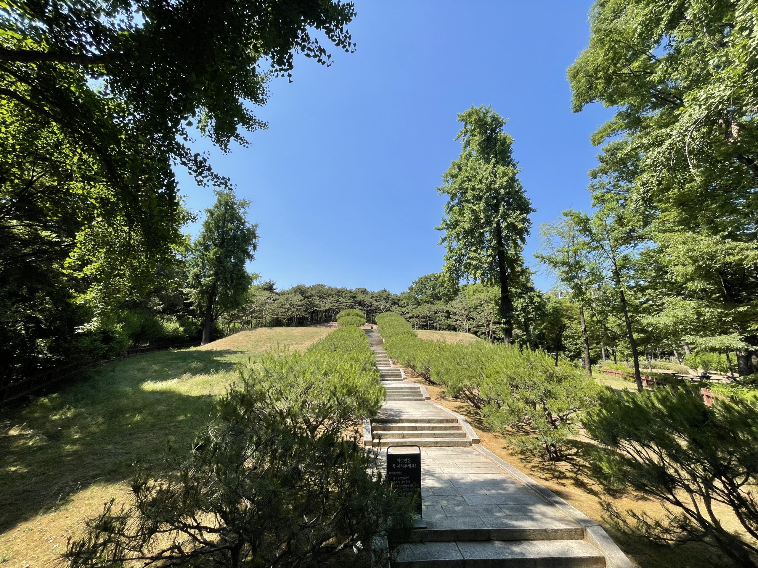 Hyochang Park Morning Walk (효창공원 아침 산책)