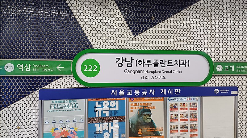 Gangnam Station Underground Shopping (강남역 지하상가)