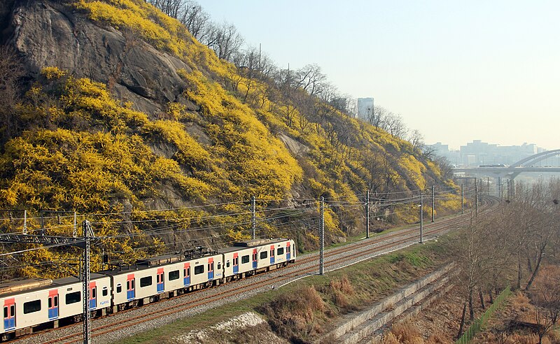 Geumho Bridge Han River View