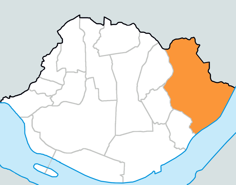 Hannam-dong Café District (한남동 카페거리)