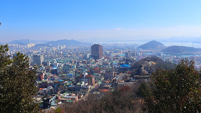 Samsung Seoul Hospital Cherry Blossom Walk