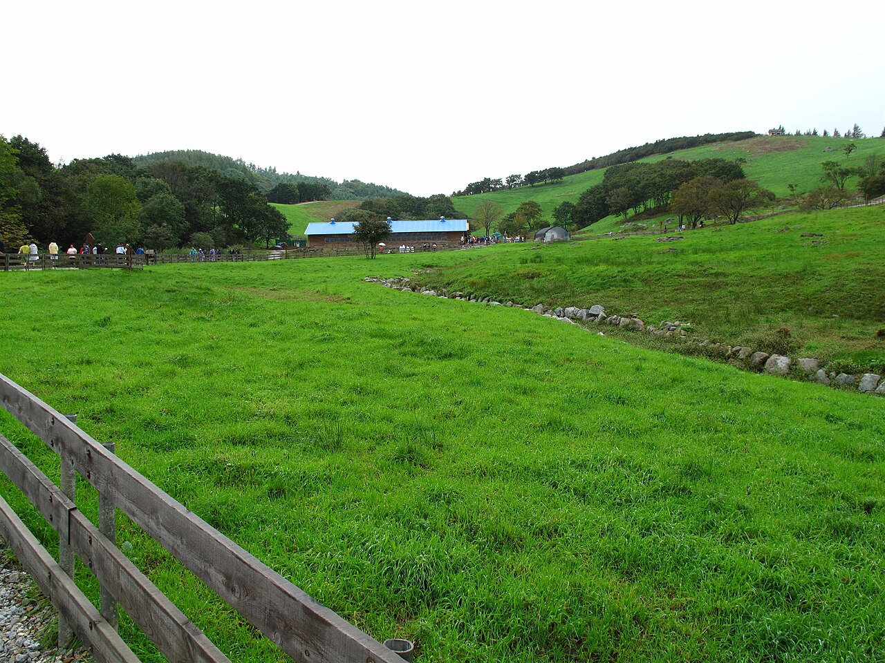 Daegwallyeong Sheep Farm