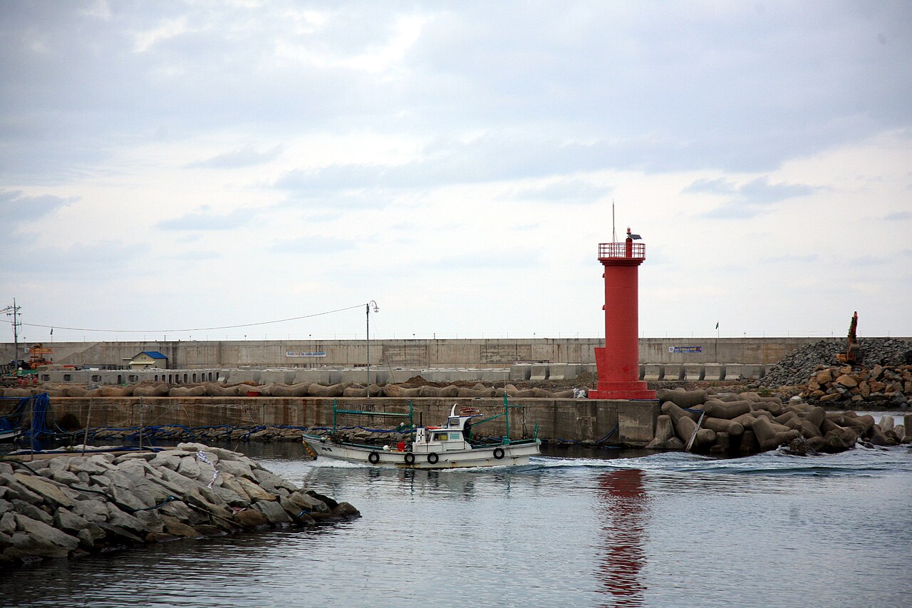 Daepo Port Grilled Squid Alley