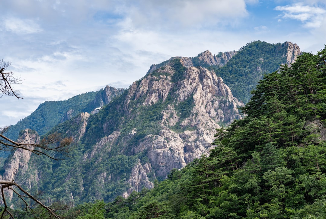 Maebong Mountain (Maebongsan)