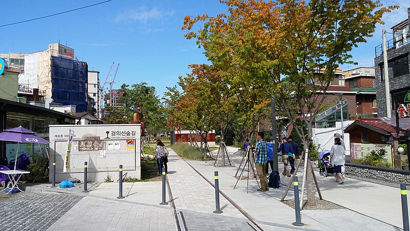 Samcheong Park Forest Trail