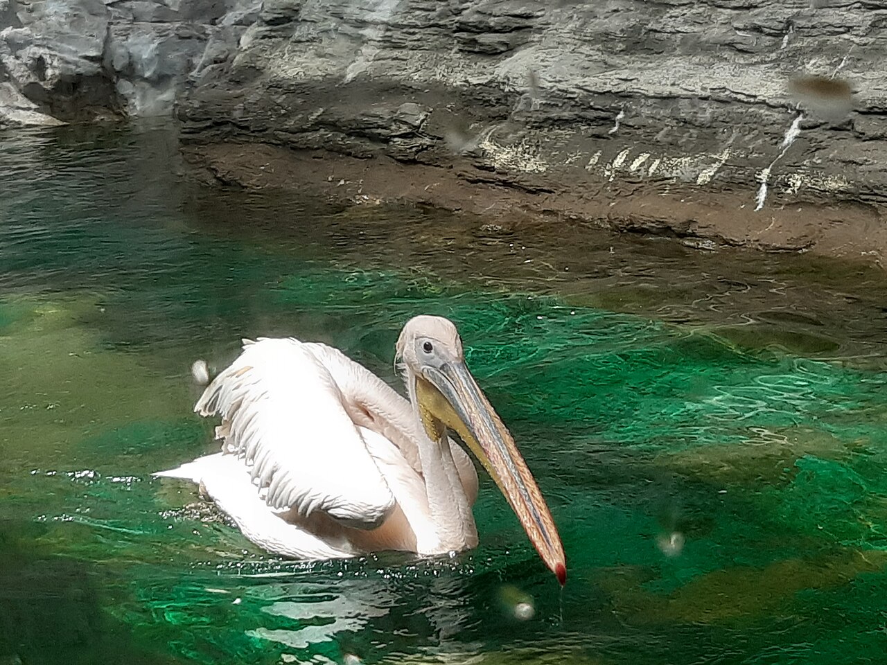 Seoul Children’s Grand Park