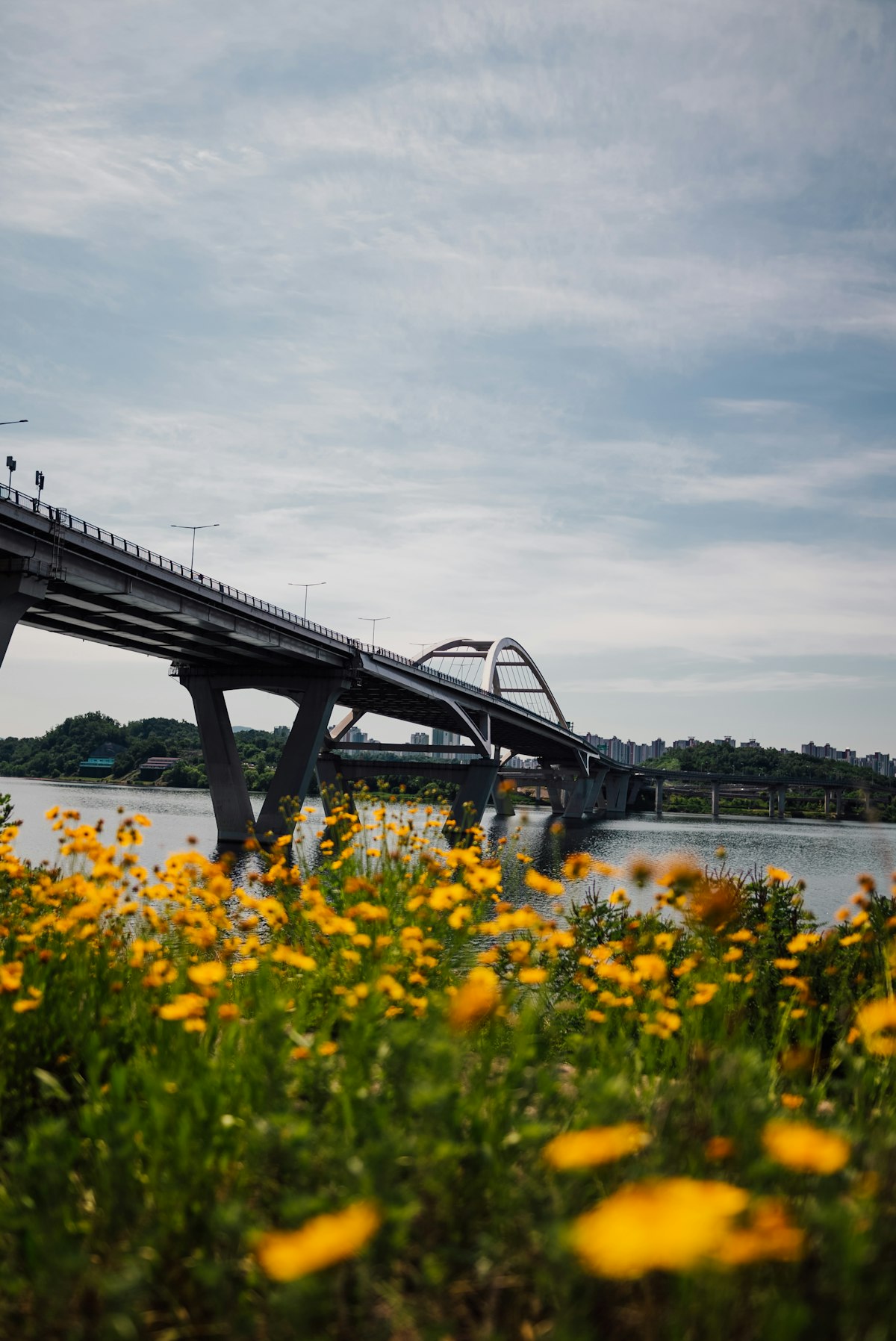 Seoraeseon Island: Seoul’s Han River Date Spot (Canola Field, Rainbow Fountain, Sebit Islands)